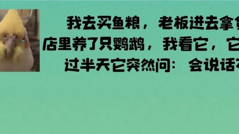 蜜饯果干包装袋尺寸型号全解析：尺寸背后的秘密